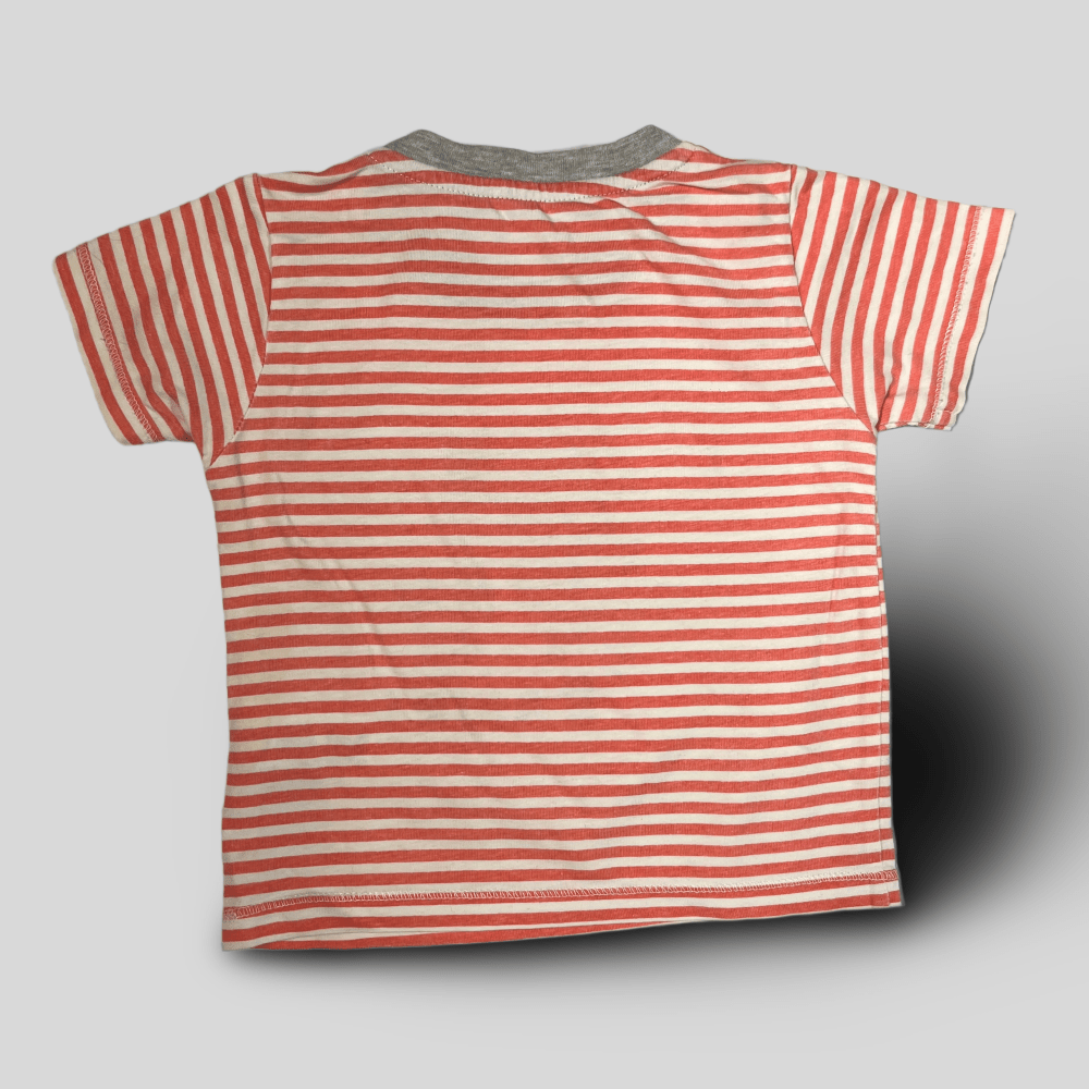 Tricou cu dungi si dinozaur