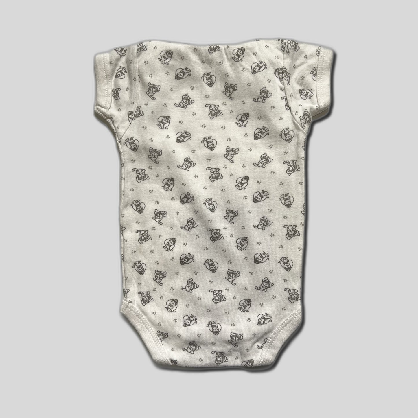 Body cu catei si pisici