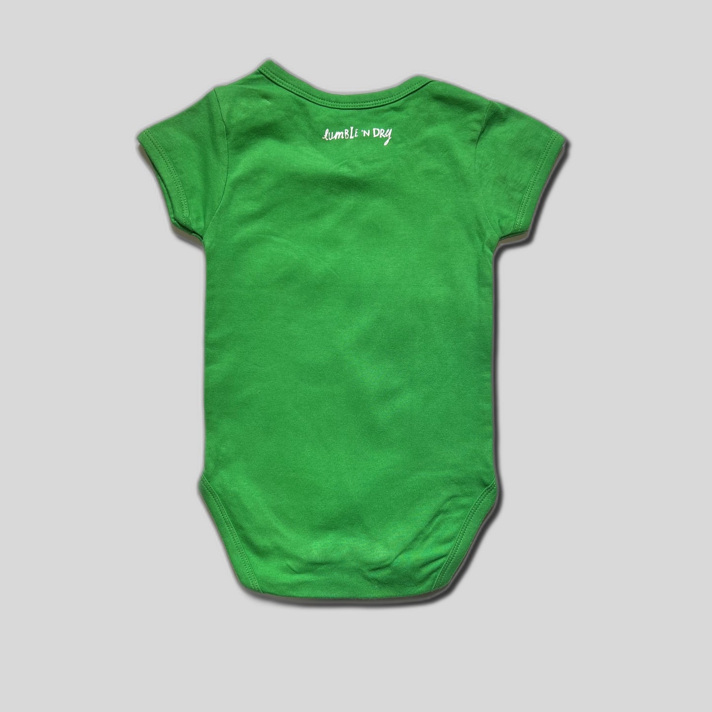 Body verde cu cirese argintii
