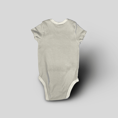 Body cu dungi