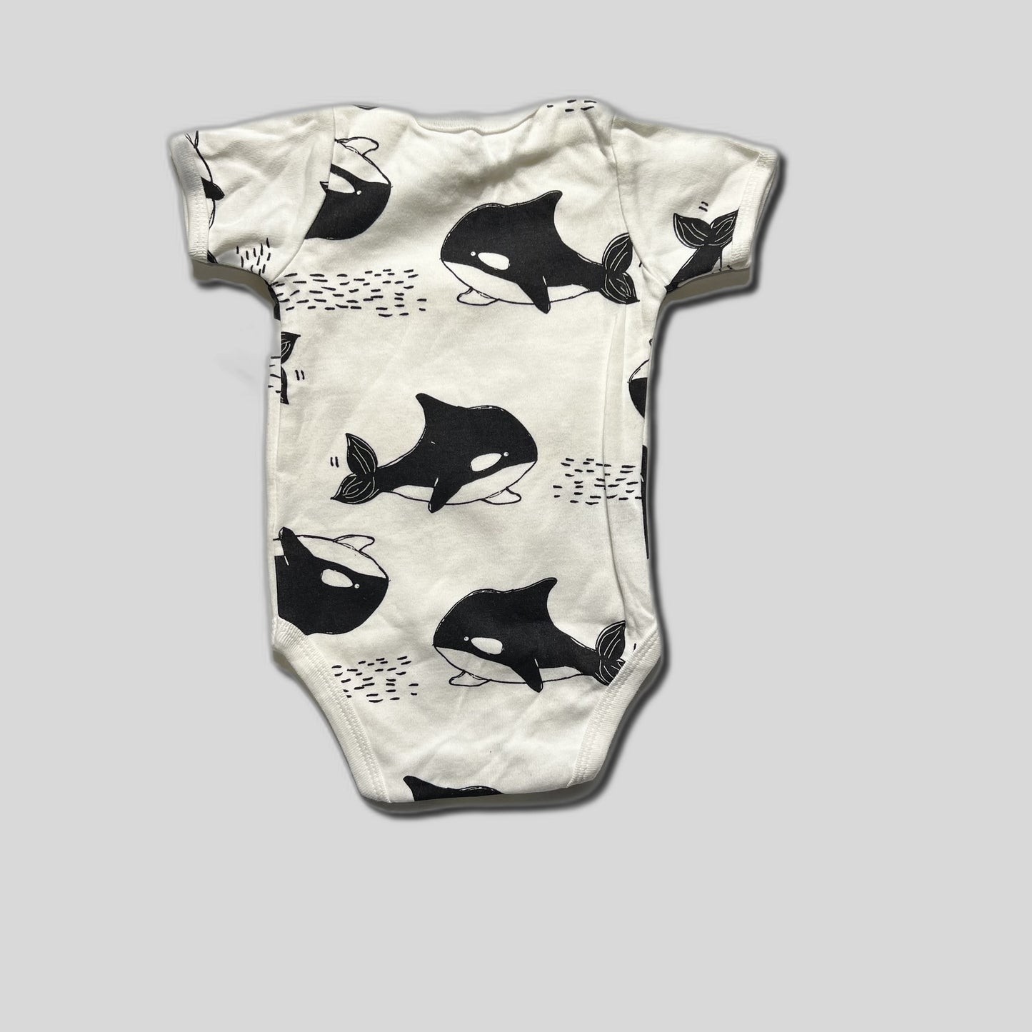 Body cu balene